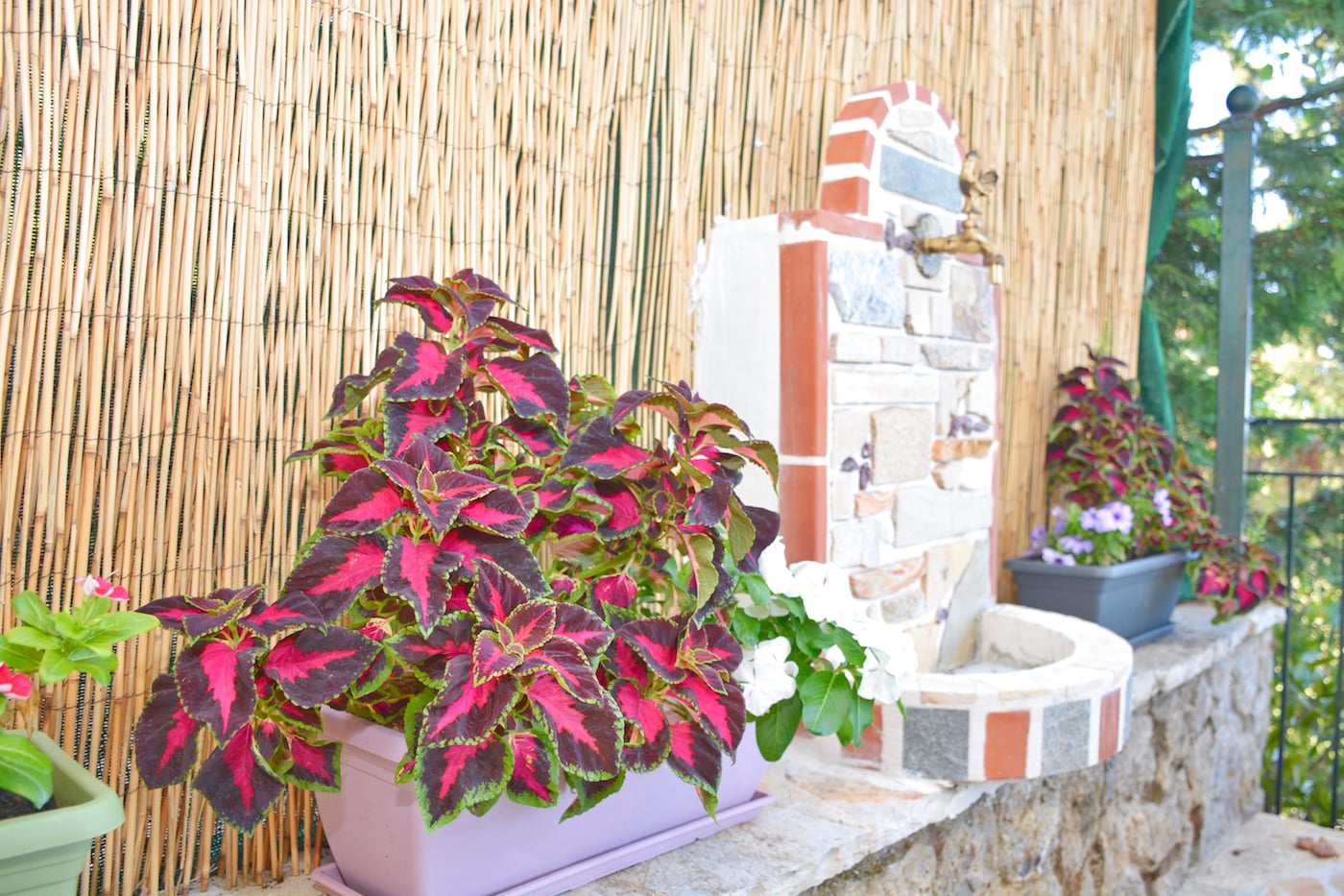 Casa Tramonto Corfu Exterior